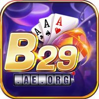 b29aeorg1
