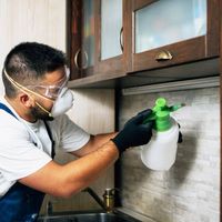 pestcontrol46