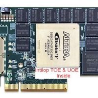 Intilop01