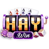 haywinvipjpnet