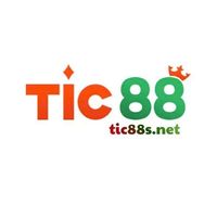 tic88snet