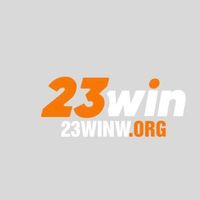 23winworg1