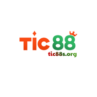 tic88sorg