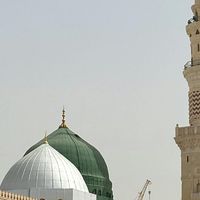 royaltawaf