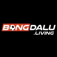 bongdaluliving