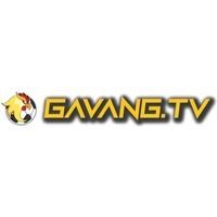 gavangtvllc