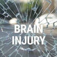 thebrainperfor