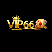 vip66vnnet