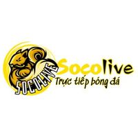 socolivett