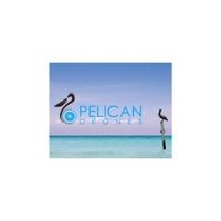 pelicandrones
