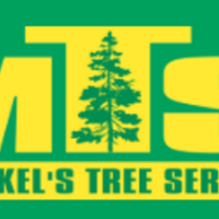 merkelstree