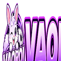 vaoroitvwork