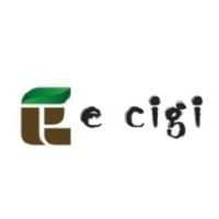 ecigiboltcom