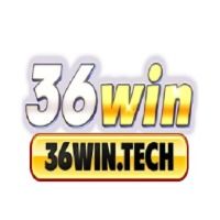 36wintech
