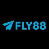 fly88baby1