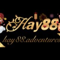 hay88ventures