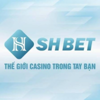 shbet800comx