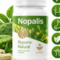 nopalismexico