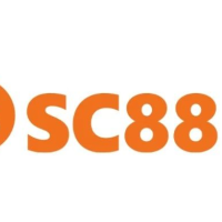 c88seocom0