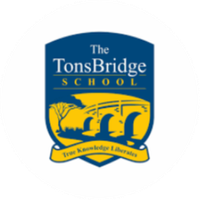 thetonsbridge