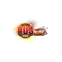8ussitepro